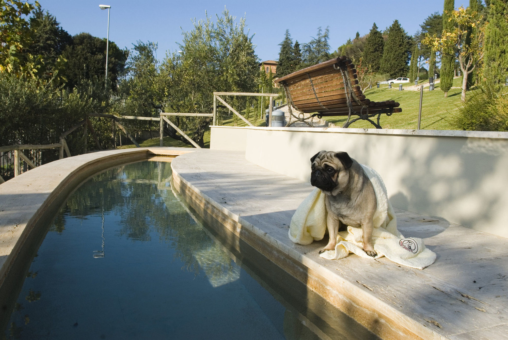 Fonteverde Lifestyle & Thermal Retreat - The Leading Hotels Of The World San Casciano dei Bagni Facilités photo A dog at a swimming pool